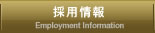 採用情報