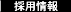 採用情報